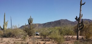 IMG_20130405_163901_707_2