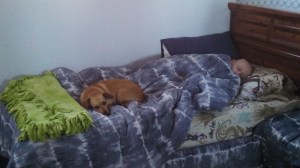 IMG_20131216_075737_189